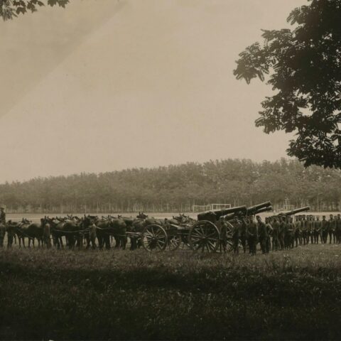 grayscale photo of horses on grass field