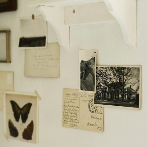black and white cat on white wall